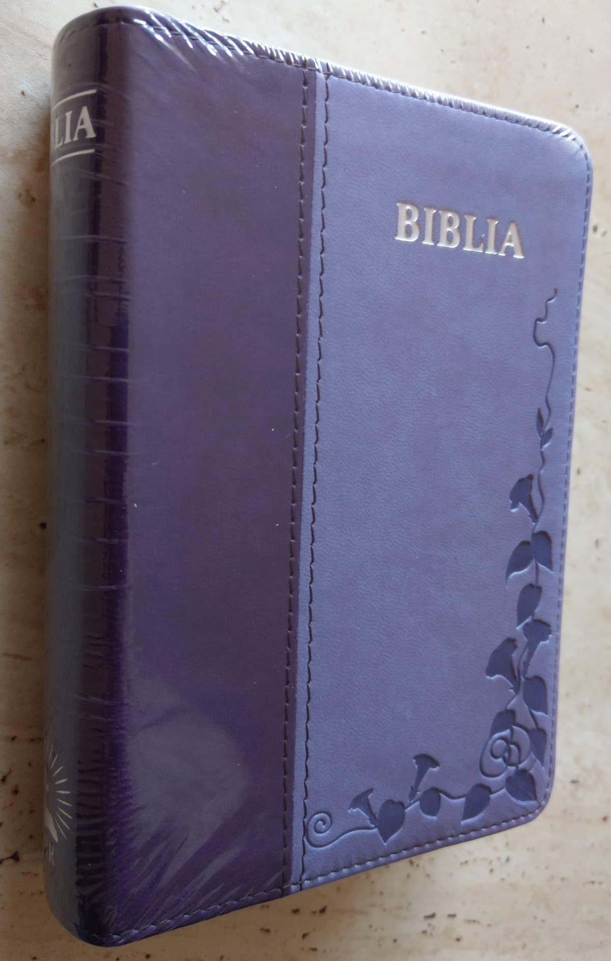 Biblia_mica_mov_046.jpg Biblia_mica_mov_046.jpg