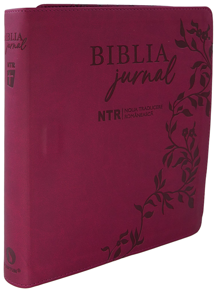 biblia-jurnal-artistic-10-2.jpg biblia-jurnal-artistic-10-2.jpg