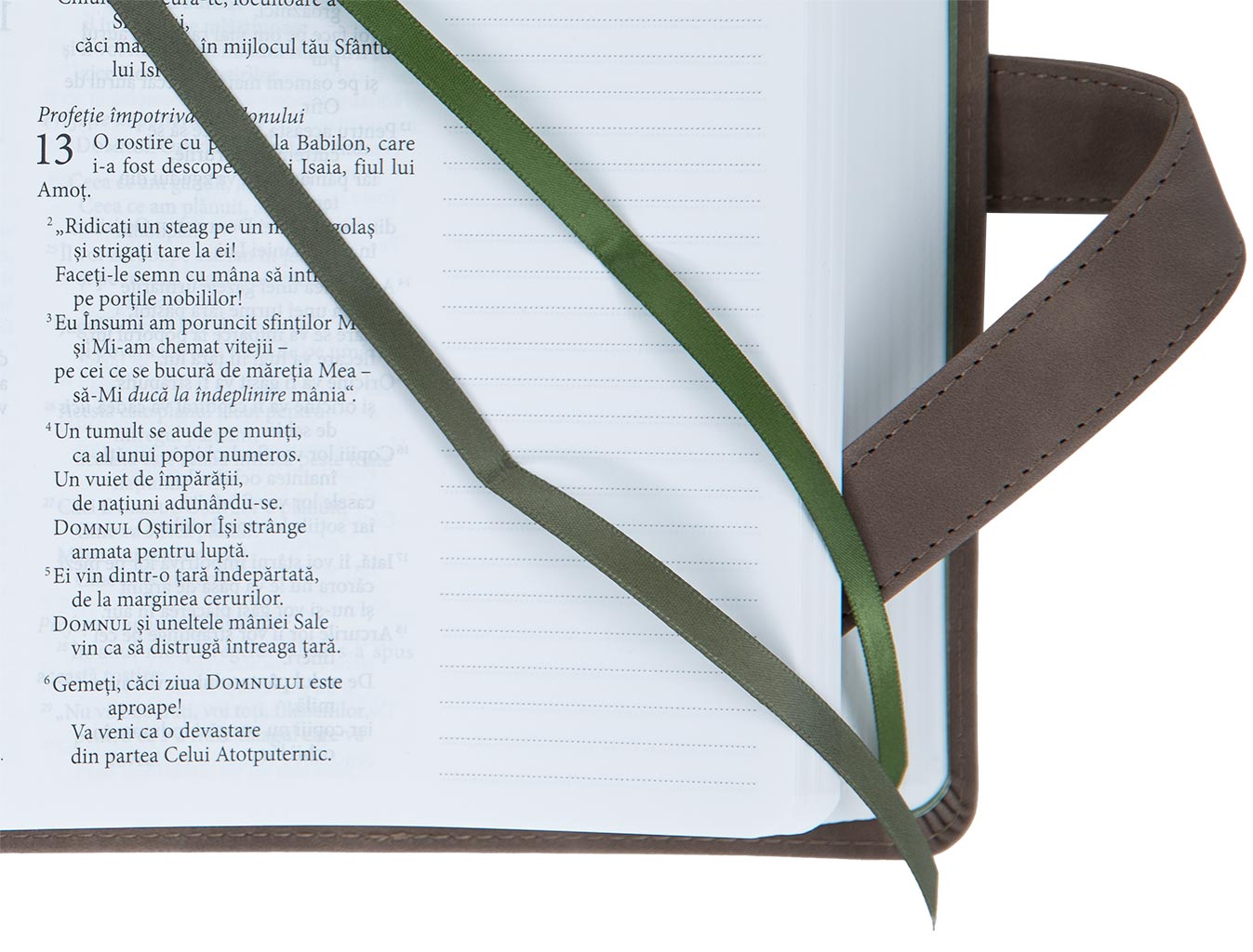 biblia-jurnal-rustic-22.jpg biblia-jurnal-rustic-22.jpg