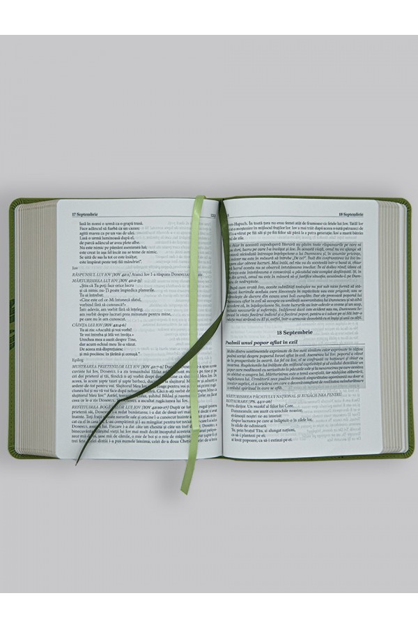 biblia-zilnica-cronologica-verde-04.jpg biblia-zilnica-cronologica-verde-04.jpg