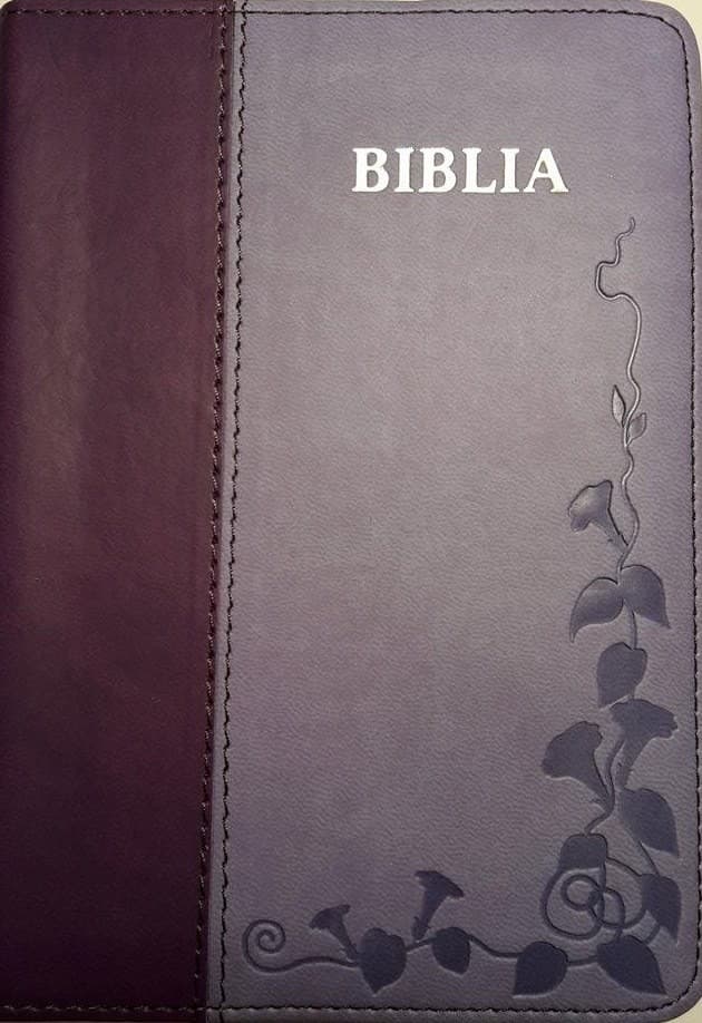 biblia_046ti-2.jpg biblia_046ti-2.jpg