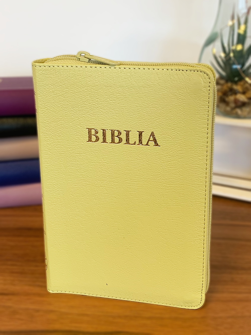 biblia_verde-2.png biblia_verde-2.png