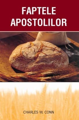 faptele_apostolilor_fata-1.jpg faptele_apostolilor_fata-1.jpg