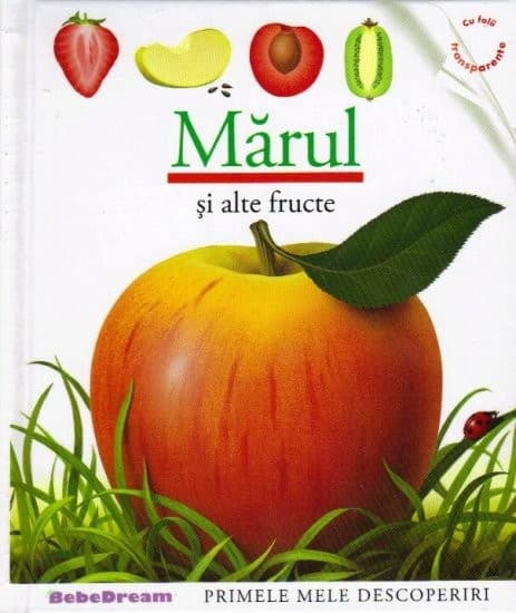 marul-1.jpg marul-1.jpg